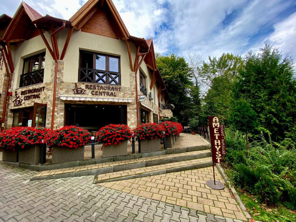 Amethyst Acomodação com café da manhã Sovata Exterior foto